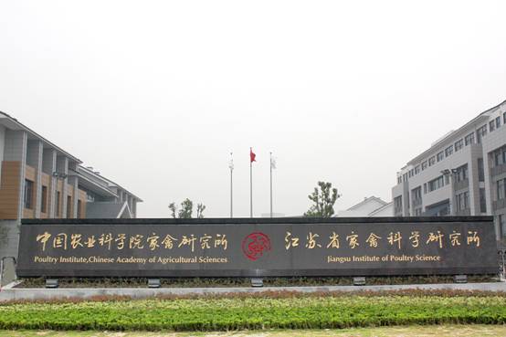 江苏省扬州市家禽研究中心，郑州防静电地板安装羞羞的黄色视频，【郑州羞羞视频成人网站防静电地板有限公司】销售热线:13526480830.厂家直销陶瓷防静电地板,全钢防静电地板,硫酸钙防静电地板.PVC防静电地板供应商,主要用于计算机机房,通讯机房,洁净厂房及现代化智能化楼宇等场所,欢迎咨询。